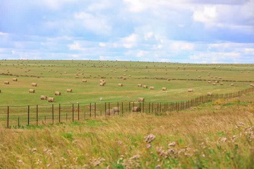 �ڲ��������רҵЧ��,����Ϊ��