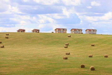 �ڲ��������רҵЧ��,����Ϊ��