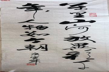 �ڲ��������רҵЧ��,����Ϊ��