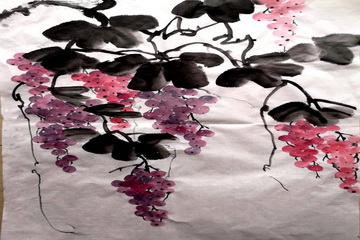 �ڲ��������רҵЧ��,����Ϊ��