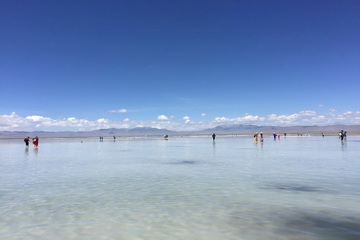 �ڲ��������רҵЧ��,����Ϊ��