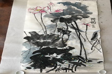 �ڲ��������רҵЧ��,����Ϊ��