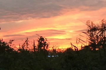 �ڲ��������רҵЧ��,����Ϊ��