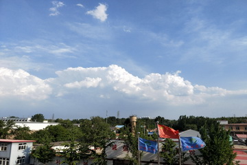 �ڲ��������רҵЧ��,����Ϊ��