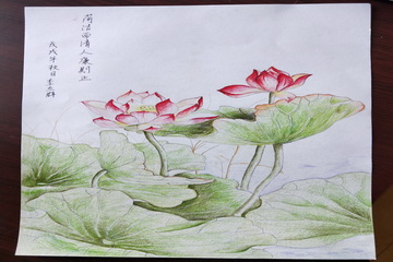 �ڲ��������רҵЧ��,����Ϊ��