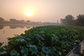 �ڲ��������רҵЧ��,����Ϊ��