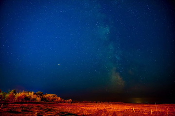 �ڲ��������רҵЧ��,����Ϊ��