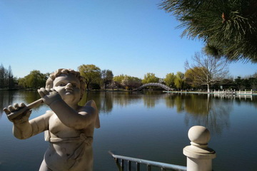 �ڲ��������רҵЧ��,����Ϊ��