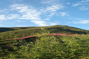 �ڲ��������רҵЧ��,����Ϊ��