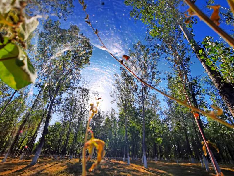 ÌÚ²©»á¹ÙÍø¡¤×¨ÒµÐ§ÀÍ,³ÏÐÅΪ±¾