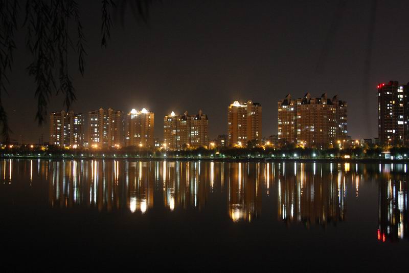 �ڲ��������רҵЧ��,����Ϊ��