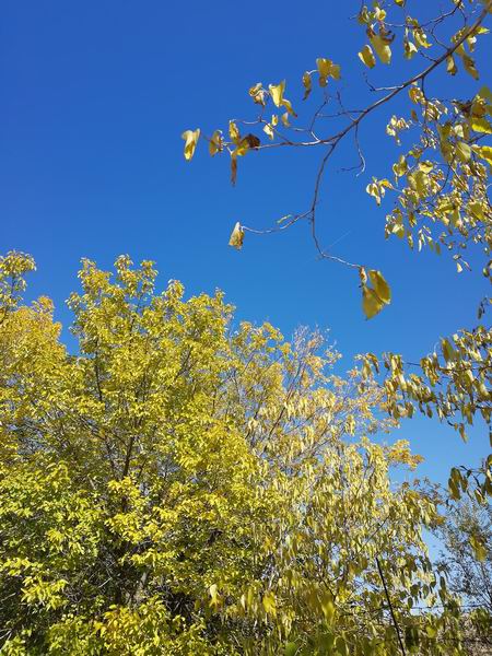 ÌÚ²©»á¹ÙÍø¡¤×¨ÒµÐ§ÀÍ,³ÏÐÅΪ±¾