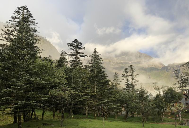 ÌÚ²©»á¹ÙÍø¡¤×¨ÒµÐ§ÀÍ,³ÏÐÅΪ±¾