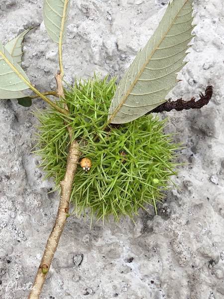 ÌÚ²©»á¹ÙÍø¡¤×¨ÒµÐ§ÀÍ,³ÏÐÅΪ±¾