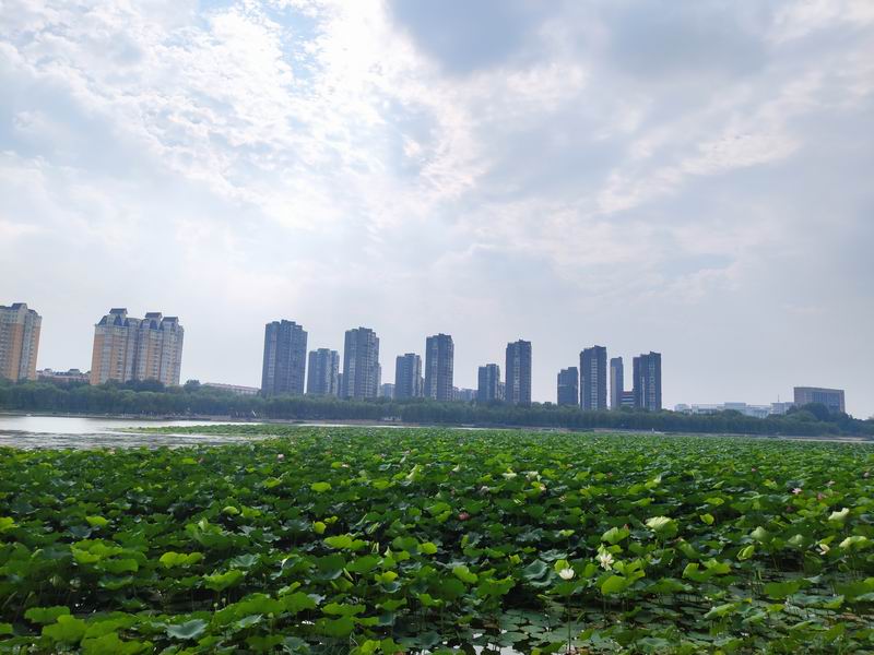 ÌÚ²©»á¹ÙÍø¡¤×¨ÒµÐ§ÀÍ,³ÏÐÅΪ±¾