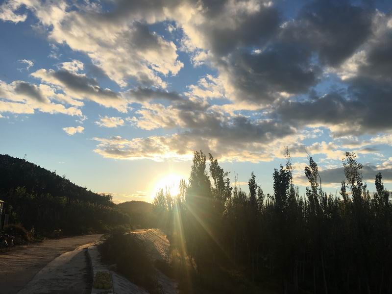 ÌÚ²©»á¹ÙÍø¡¤×¨ÒµÐ§ÀÍ,³ÏÐÅΪ±¾