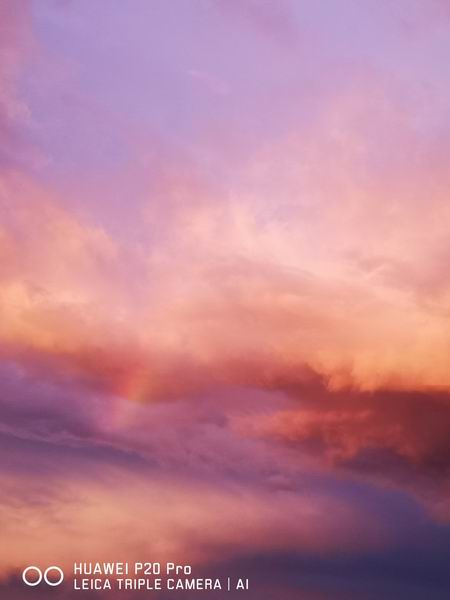 ÌÚ²©»á¹ÙÍø¡¤×¨ÒµÐ§ÀÍ,³ÏÐÅΪ±¾