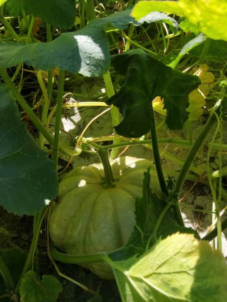 ÌÚ²©»á¹ÙÍø¡¤×¨ÒµÐ§ÀÍ,³ÏÐÅΪ±¾