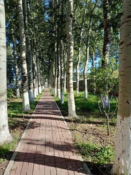 ÌÚ²©»á¹ÙÍø¡¤×¨ÒµÐ§ÀÍ,³ÏÐÅΪ±¾