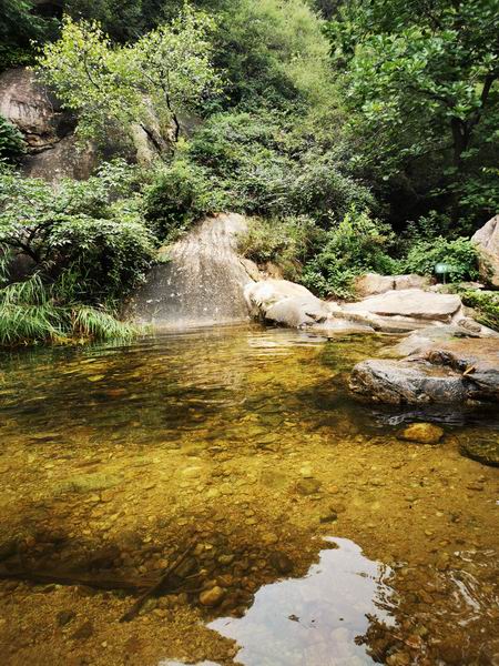 ÌÚ²©»á¹ÙÍø¡¤×¨ÒµÐ§ÀÍ,³ÏÐÅΪ±¾