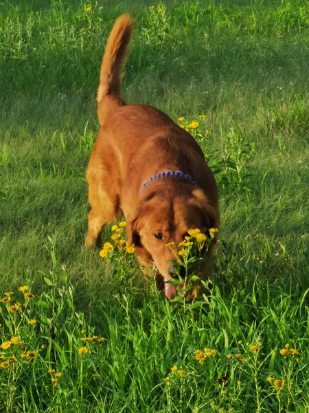 ÌÚ²©»á¹ÙÍø¡¤×¨ÒµÐ§ÀÍ,³ÏÐÅΪ±¾