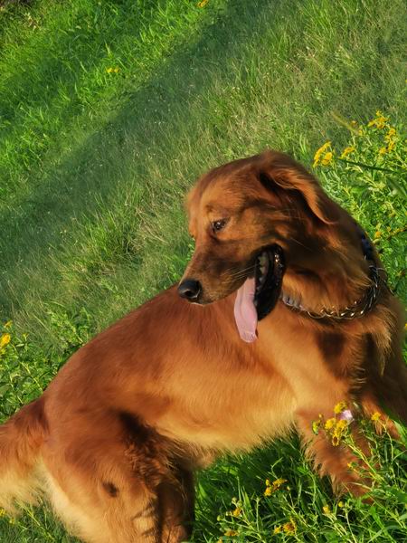 ÌÚ²©»á¹ÙÍø¡¤×¨ÒµÐ§ÀÍ,³ÏÐÅΪ±¾