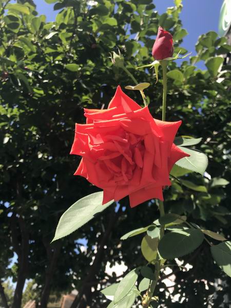 ÌÚ²©»á¹ÙÍø¡¤×¨ÒµÐ§ÀÍ,³ÏÐÅΪ±¾