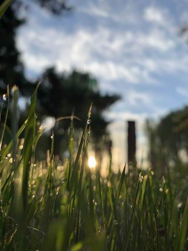 ÌÚ²©»á¹ÙÍø¡¤×¨ÒµÐ§ÀÍ,³ÏÐÅΪ±¾