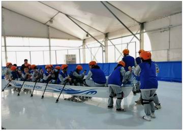 �ڲ��������רҵЧ��,����Ϊ��