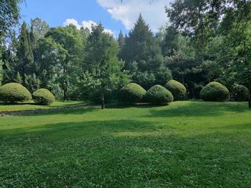 �ڲ��������רҵЧ��,����Ϊ��