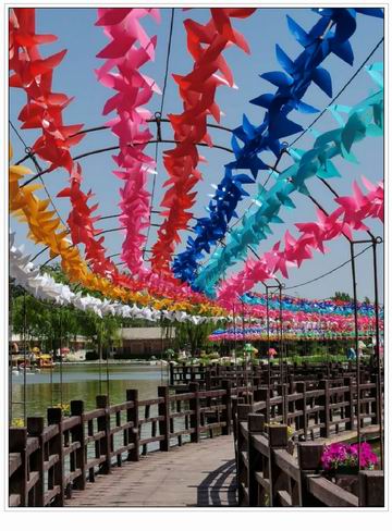 �ڲ��������רҵЧ��,����Ϊ��