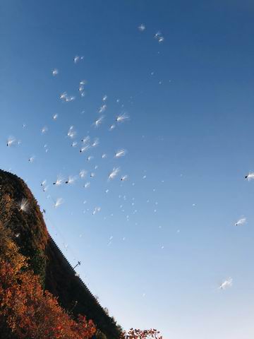 �ڲ��������רҵЧ��,����Ϊ��