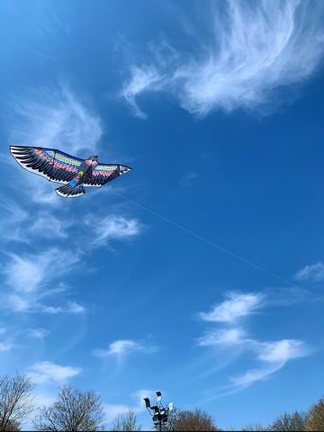 �ڲ��������רҵЧ��,����Ϊ��