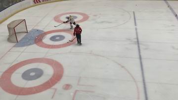 �ڲ��������רҵЧ��,����Ϊ��