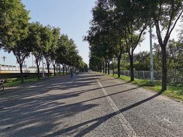 �ڲ��������רҵЧ��,����Ϊ��