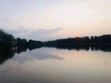 �ڲ��������רҵЧ��,����Ϊ��