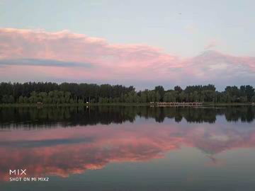 �ڲ��������רҵЧ��,����Ϊ��