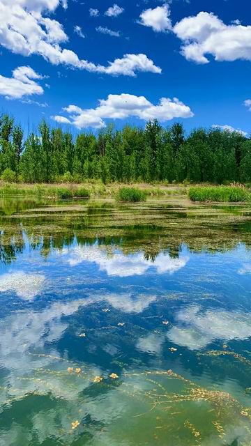 �ڲ��������רҵЧ��,����Ϊ��