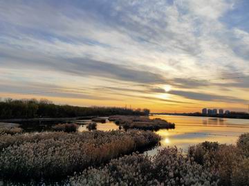 �ڲ��������רҵЧ��,����Ϊ��