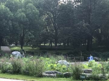 �ڲ��������רҵЧ��,����Ϊ��