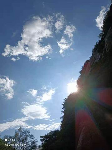 �ڲ��������רҵЧ��,����Ϊ��