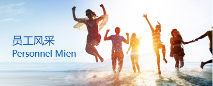 �ڲ��������רҵЧ��,����Ϊ��