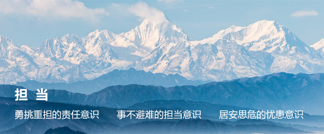 �ڲ��������רҵЧ��,����Ϊ��