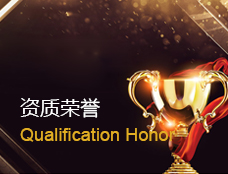 �ڲ��������רҵЧ��,����Ϊ��