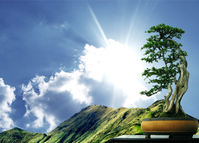 �ڲ��������רҵЧ��,����Ϊ��