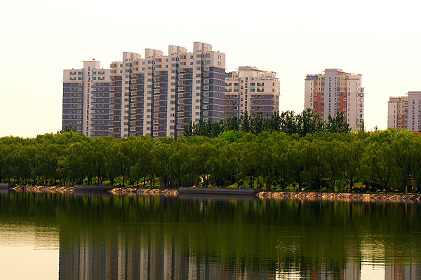 �ڲ��������רҵЧ��,����Ϊ��