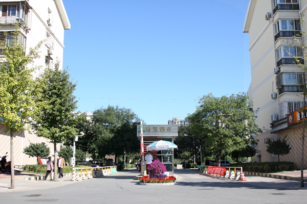 �ڲ��������רҵЧ��,����Ϊ��