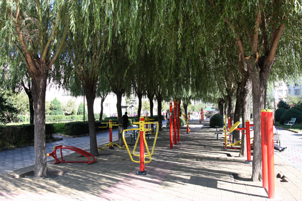 �ڲ��������רҵЧ��,����Ϊ��