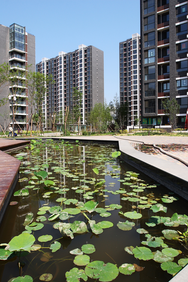 �ڲ��������רҵЧ��,����Ϊ��