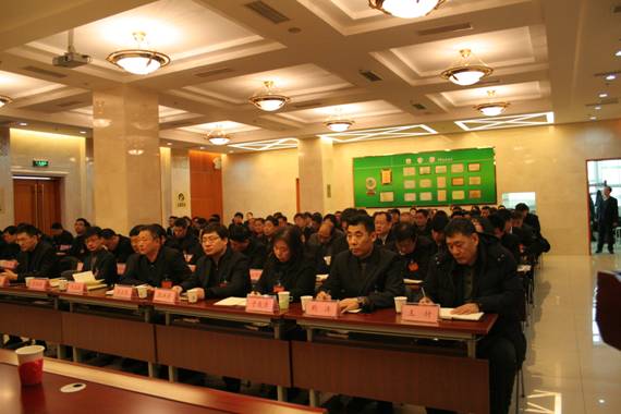 �ڲ��������רҵЧ��,����Ϊ��